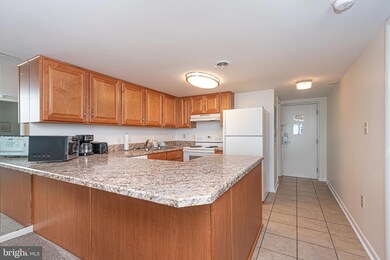 302 32nd St unit 504, Ocean City, MD 21842 - photo 4