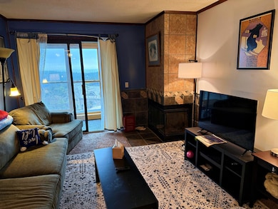 301 A Snowcrest, Snowshoe, WV 26209 - photo 6