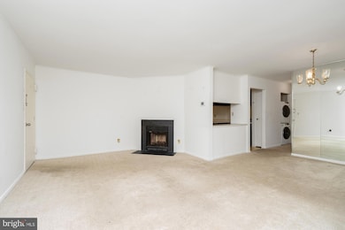 101 Fitz Ct unit 202, Reisterstown, MD 21136 - photo 5