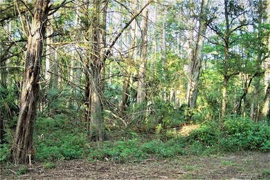 Natural Florida Land