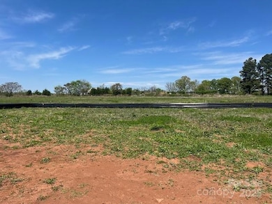 1030 Gardenia Dr unit 2, Mount Ulla, NC 28125 - photo 2