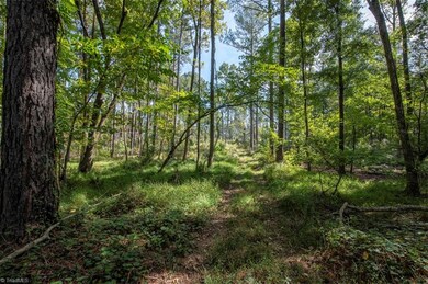 00 Burrell Allen Rd, Denton, NC 27239 - photo 3