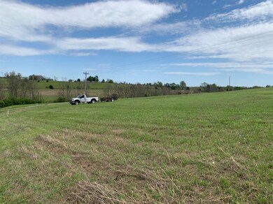 1618 Cummins Ferry Rd, Bondville, KY 40372 - photo 2