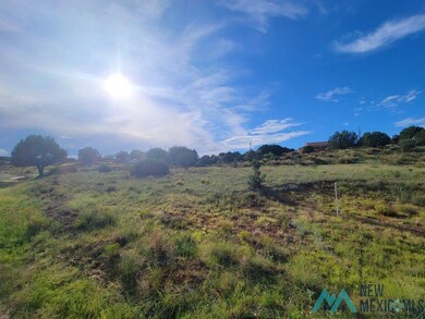 XX Copper Ridge Dr, Silver City, NM 88061 - photo 3