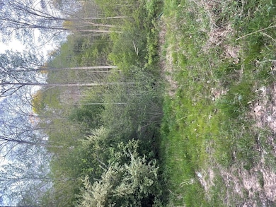 00 Bob Byrd Rd, Spanishburg, WV 25922 - photo 2