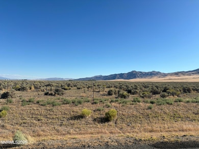 80 acres Muddy Rd, Grass Valley, NV 89445 - photo 3