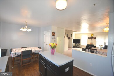 428 Blossom Ln, Frederick, MD 21701 - photo 7