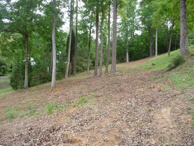 View looking up from lower area of the lot