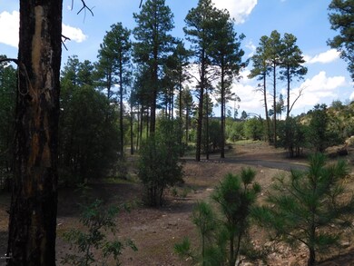 6240 Juniper Ridge Rd, Show Low, AZ 85901 - photo 4
