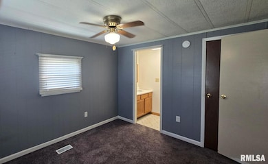 202 Evans St, Loami, IL 62661 - photo 5