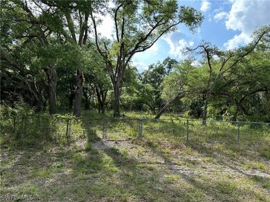 1911 Robert Ave, Lehigh Acres, FL 33972 - photo 5