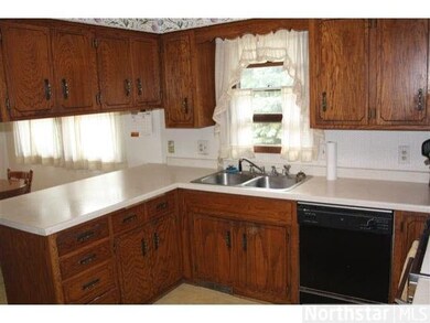 4742 4742 Sycamore Trail, Medina, MN 55359 - photo 4