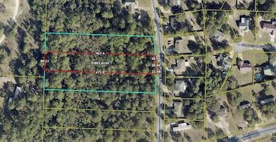 Lot 5