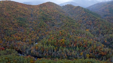 3549P Snowbird Rd, Robbinsville, NC 28771 - photo 3