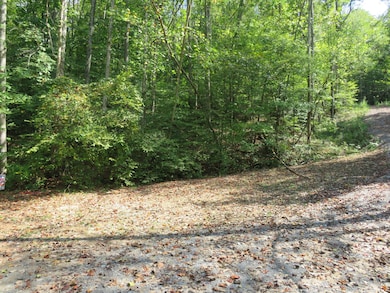 0 Bugg Hollow Rd unit RTC2996368, Gallatin, TN 37066 - photo 2