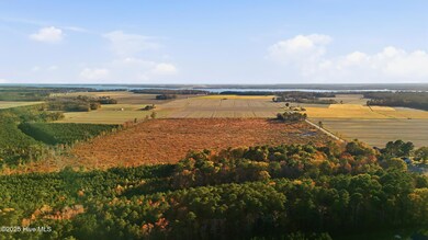00000 Gum Bridge Rd, Elizabeth City, NC 27909 - photo 5