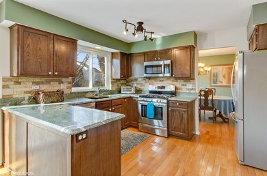 1317 York Dr, Carpentersville, IL 60110 - photo 2