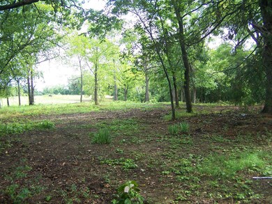 100_3400 (Large)