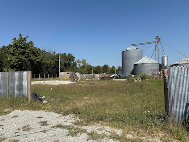 103 E Howard St, Bellflower, MO 63333 - photo 4