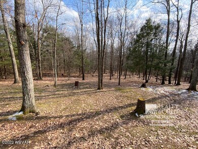 525 Mountainview Rd, Muncy, PA 17756 - photo 4