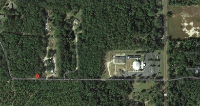 390 Donaldson-Williams Rd, Crawfordville, FL 32327 - photo 5