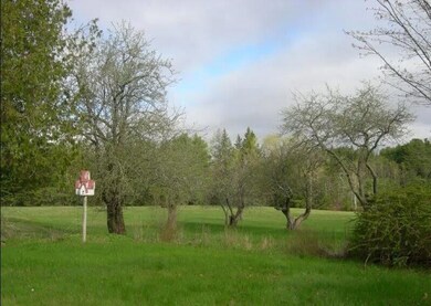 View to pasture and little orchard.