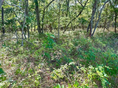 0 New Lancaster Rd, Linn Valley, KS 66040 - photo 7