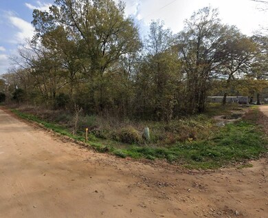 0 River St, Coldspring, TX 77331 - photo 4