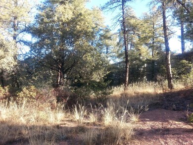 200 E Zurich Dr, Payson, AZ 85541 - photo 3