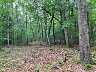 0 Mustang Valley unit 1571407, Freeport, ME 04032 - photo 3