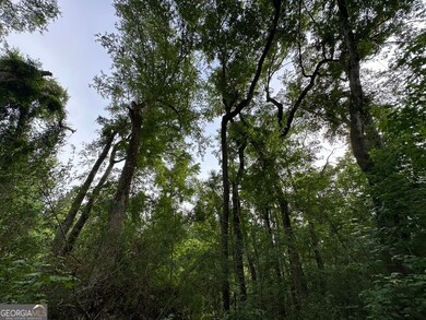 0 Bennett Colter Rd unit 10542243, Rentz, GA 31075 - photo 4