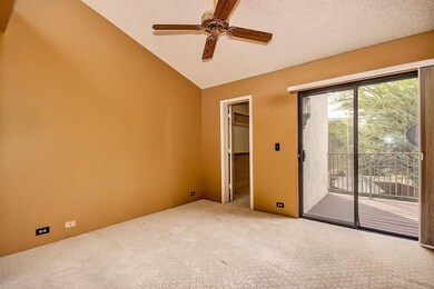 Siesta Dr-18