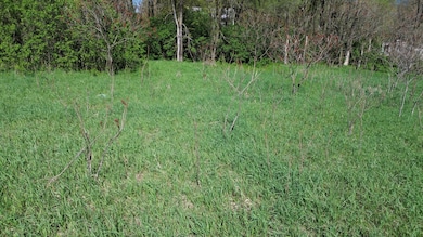 DJI_0429