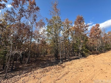 12 Summer Tyme Dr, Greenbrier, AR 72058 - photo 2