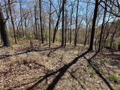 0 Diss Ln, Bella Vista, AR 72715 - photo 3
