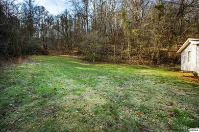 508 Lewis Ln, Blaine, TN 37709 - photo 5