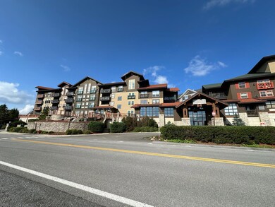 256 Rimfire Lodge, Snowshoe, WV 26209 - photo 3