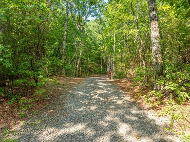 1298 Cold Stream Trail, Big Canoe, GA 30143 - photo 6
