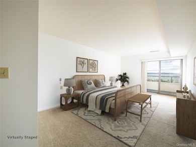 372 Main St unit 105, Port Washington, NY 11050 - photo 7