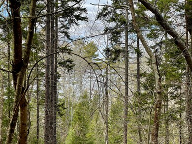 IMG_9198