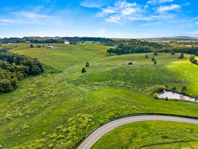 Tract 2 Shinbone Rd, Russellville, TN 37860 - photo 3