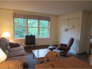 28- 410 Packard's Rd unit 410, Waterville Valley, NH 03215 - photo 6