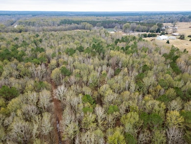10 Acres Reed Rd, Starkville, MS 39759 - photo 3