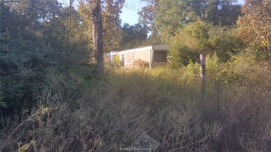 8414 Mayhaw Ln, Plantersville, TX 77363 - photo 3