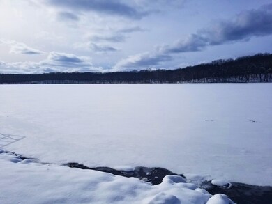 10103 N Lake Shore Dr, Merrill Township, MI 49309 - photo 3