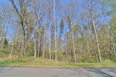 Lot 5, 6 & 7 Terminal Rd, Breezy Point, MN 56472 - photo 7