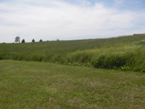 Lot 8 St. Ann's View