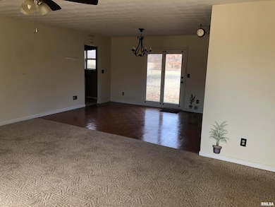 17018 E Thompson Rd, Opdyke, IL 62872 - photo 2