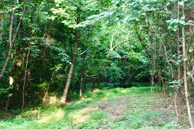 TBD Big Hill Ln, Mount Solon, VA 22843 - photo 5