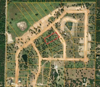 123 La Paloma Way, Decatur, TX 76234 - photo 2